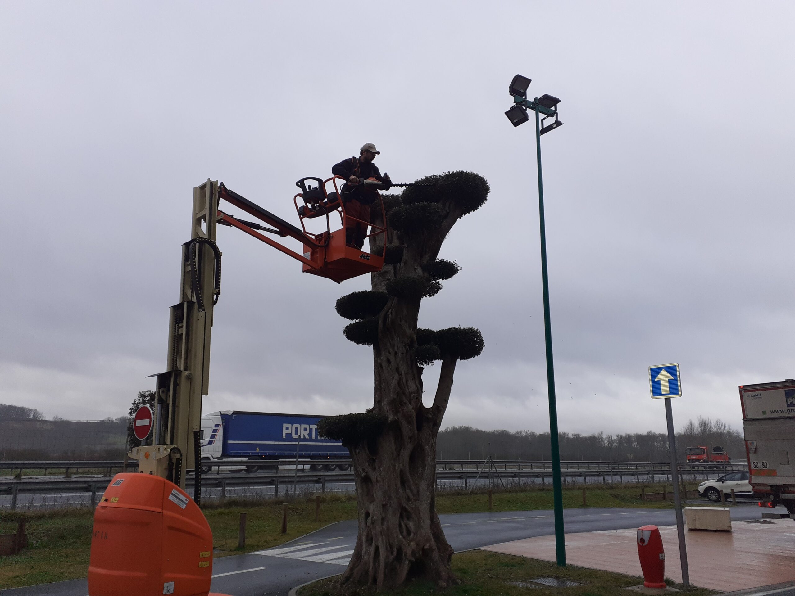 Entretien de jardins
