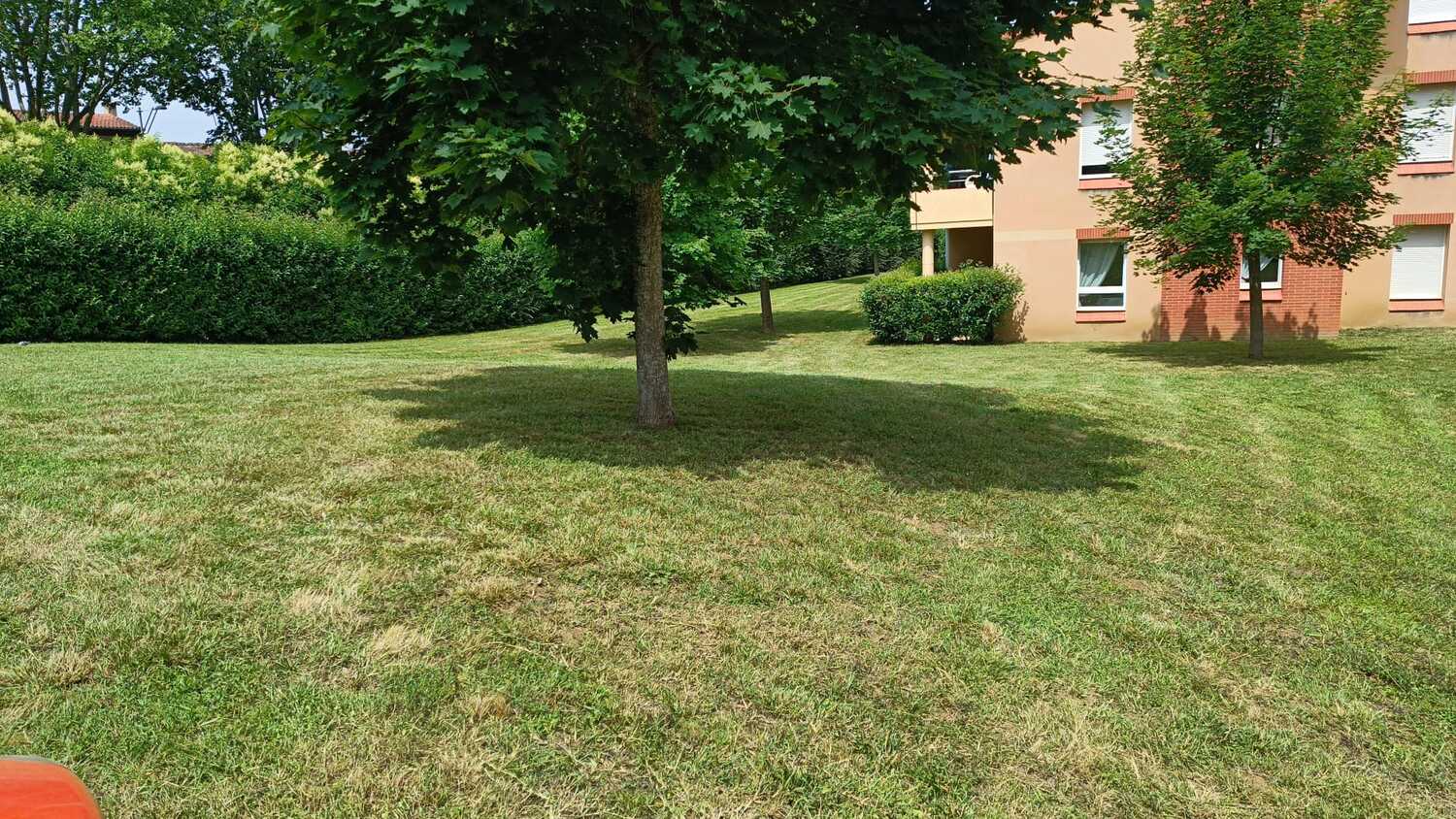 Entretien de jardins