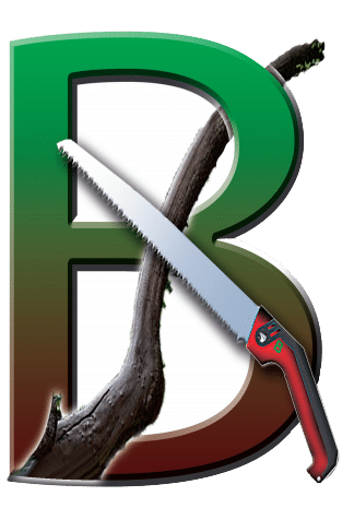 Tailler la haie : Sécateur professionnel pour entretien du jardin Gros plan sur un sécateur coupant une pousse de haie. Gants de jardinage et feuilles vert brillant en pleine lumière.