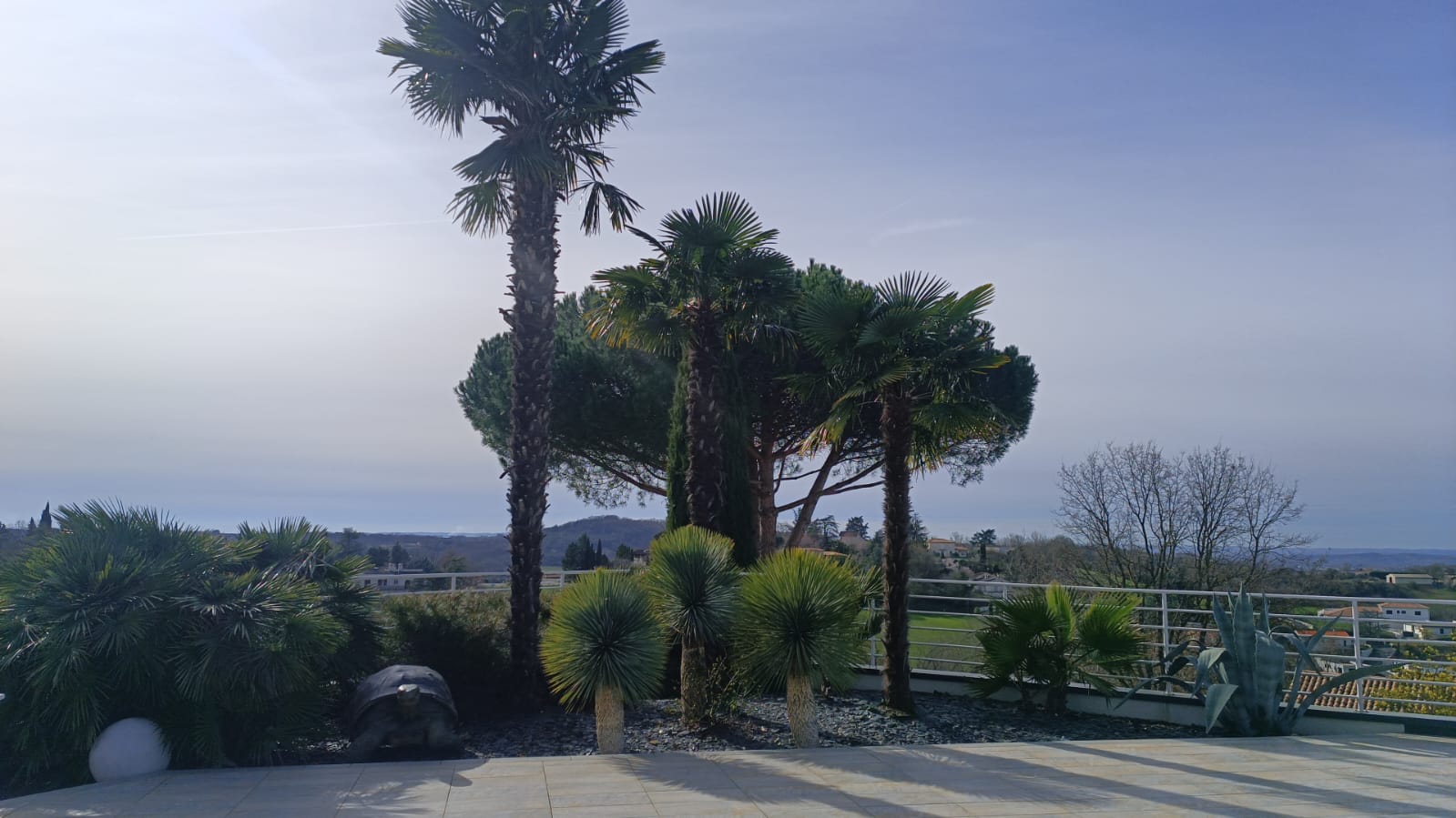 Création paysagère